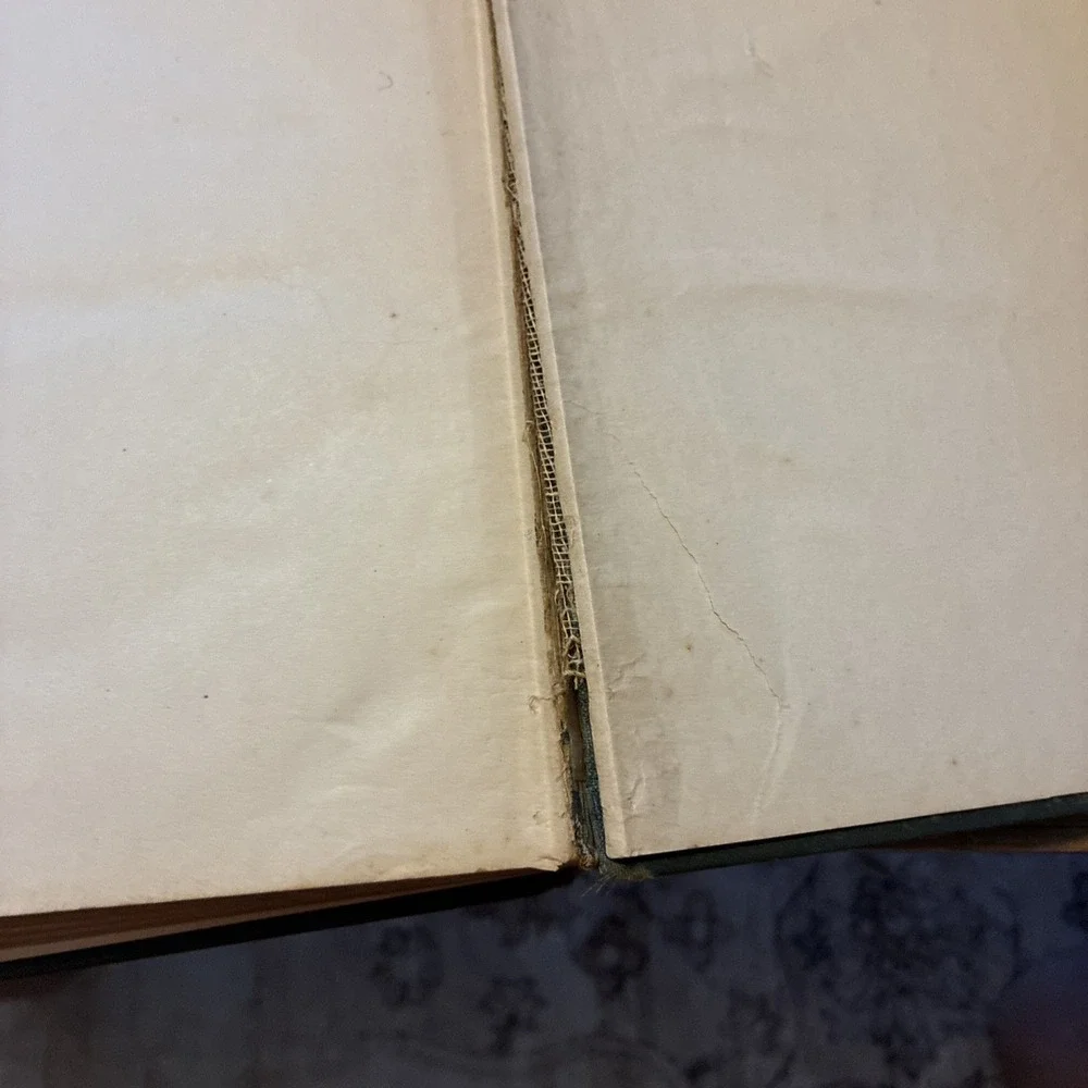 Near To Natures Heart VIII  by E.P. Roe, Dodd, Mead & Co 1876 Hardcover Antique